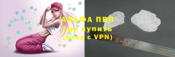 гидра Аркадак